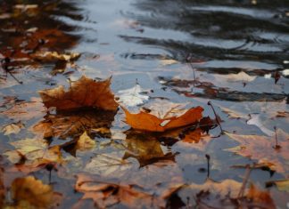 Legambiente su alluvioni in Emilia: “Non è maltempo ma crisi climatica”