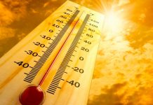 Emergenza caldo e anziani, il numero amico da chiamare e i consigli per affrontare le alte temperature
