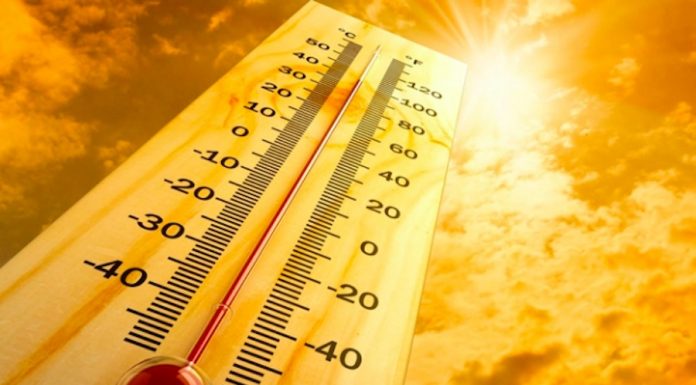 Emergenza caldo e anziani, il numero amico da chiamare e i consigli per affrontare le alte temperature