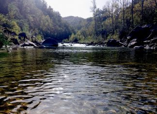 Diga di Vetto, intervento di Unindustria Reggio Emilia