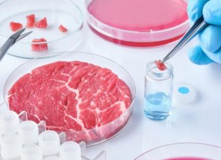 Coldiretti: “DDL carne artificiale, il 74% degli italiani dice NO a cibi in provetta”