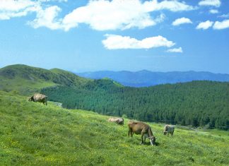 Salvare i paesaggi a rischio dell’Appennino: fondazioni inglesi finanziano il progetto