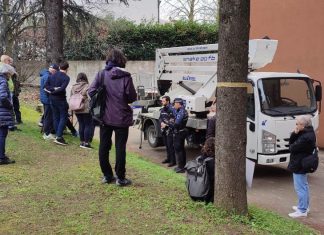 Parere negativo della Consulta del verde: a Codemondo salvati gli alberi del condominio “I Platani”