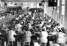 Festa della Donna: origine e storia. La scelta della mimosa come fiore simbolo