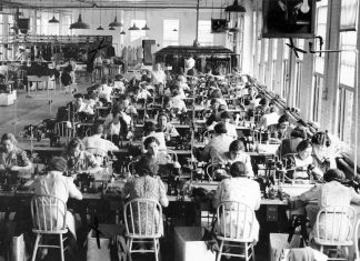 Festa della Donna: origine e storia. La scelta della mimosa come fiore simbolo