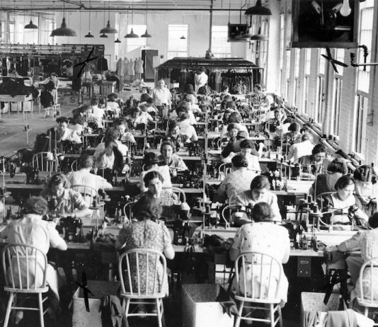 Festa della Donna: origine e storia. La scelta della mimosa come fiore simbolo