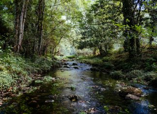 In avvio nelle aree protette reggiane il progetto “Fishing 4 biodiversity” di tutela dei torrenti e di alcune specie di fauna anfibia e acquatica
