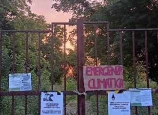 I movimenti ecologisti reggiani si riprendono il bosco a rischio abbattimento