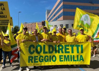 Coldiretti Reggio Emilia: “Cinghiali, flagello per campagne e città”. Oltre 4000 agricoltori manifestano a Bologna