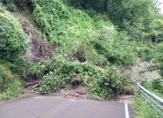 Maltempo, viabilità provinciale colpita in 42 punti