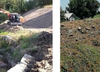 Associazioni Ambientaliste Reggiane: “Rivedere radicalmente le modalità d’intervento sulla vegetazione dei torrenti Crostolo e Rodano”