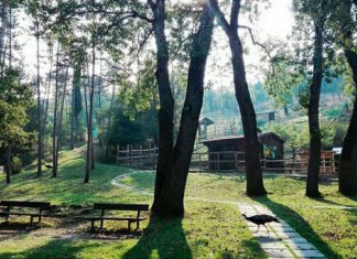 Il “Melograno” gestirà la Pinetina di Vezzano sul Crostolo