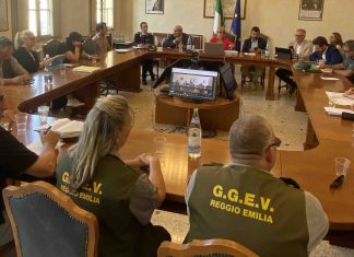 Peste suina africana: vertice in prefettura