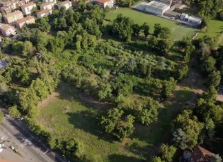 “Ma è un vero bilancio ambientale?”: i dubbi del movimento Ecologia Integrale Reggio Emilia