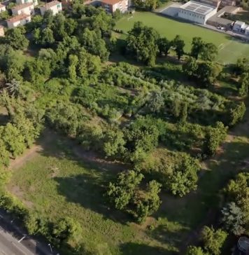 Pru Ospizio, rilasciati i titoli edilizi: 23mila mq di verde pubblico, altri 56 alberi salvati
