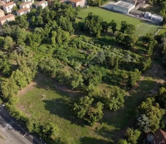 “Ma è un vero bilancio ambientale?”: i dubbi del movimento Ecologia Integrale Reggio Emilia