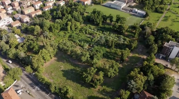 Pru Ospizio, rilasciati i titoli edilizi: 23mila mq di verde pubblico, altri 56 alberi salvati