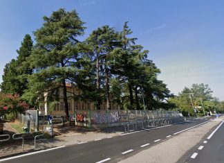 Crollo del Cedro nella scuola di Rivalta, al via l’abbattimento di tre alberi pericolosi per la pubblica incolumità