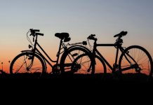 Tour operator stranieri specializzati in cicloturismo alla scoperta di Reggio Emilia