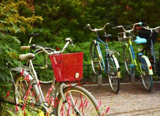 Bilancio ambientale: Reggio Emilia misura le ricadute sull’ambiente di azioni e politiche dell’ente