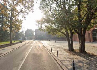 Parco del Popolo e viale Piave: abbattimento di tre alberi secchi e pericolosi per la pubblica incolumità