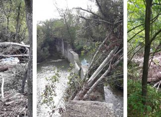 Cataste di legna nel Crostolo vicino alla confluenza con il Campola: la preoccupazione dei cittadini