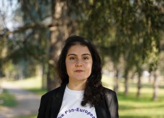 Psicologia di base: raggiunte 5.000 per presentare la proposta di legge regionale. Soddisfazione di Volt Emilia Romagna