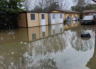 Situazione canile di Reggio Emilia dopo l’alluvione: il documento presentato in consiglio comunale da Aguzzoli e De Lucia