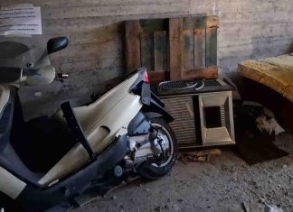 Cittadini di Via Fenulli e via Bergonzi: “Furti, ratti e casa vuote. Gli abitanti delle case popolari sono ghettizzati e abbandonati»