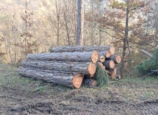 Vezzano: lavori di messa in sicurezza della Pinetina
