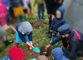 Reggio Emilia “Giornata Nazionale degli Alberi: i Carabinieri Forestali festeggiano insieme alle scuole con la messa a dimora di 250 piantine