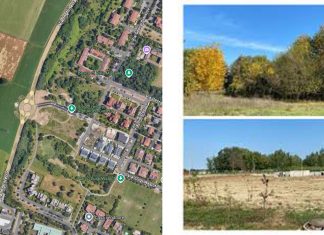 Nuova Coop a Baragalla: “Tagliarono decine di alberi senza autorizzazione, le multe sono partite?”