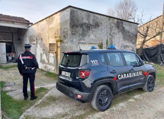 Scoperta “fabbrica” di marijuana in un casolare del guastallese: 40 chili di droga sequestrati