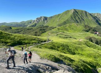 Estate 2025 in Appennino reggiano: dove trovare tutti gli eventi