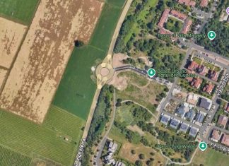 Aguzzoli e De Lucia (Coalizione Civica): “Dopo Ospizio con Conad, tagli non autorizzati al bosco Baragalla con Coop”