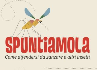 Contrasto alla zanzara tigre: all’Unione Bassa Reggiana finanziamenti per azioni educative