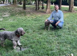 Animali da compagnia nelle case di riposo: la Mozione di Coalizione Civica