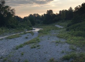 Completamento della sistemazione del torrente Tresinaro, un capitolo ancora aperto