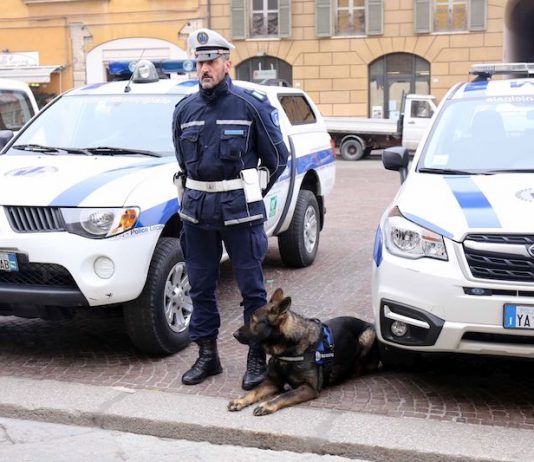 Addio a Victor, il cane dell’unità cinofila reggiana preziosissimo nel contrasto allo spaccio