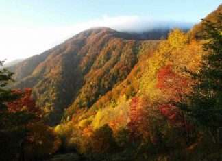 Unione Appennino Reggiano, il presidente Ferrari: “L’autunno in appennino offre le migliori eccellenze, paesaggistiche e agroalimentari”