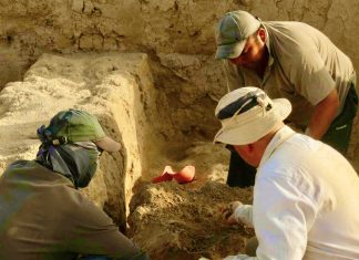 Carta delle potenzialità archeologiche: a Reggio Emilia approvata l’iniziativa di salvaguardia del patrimonio e storia