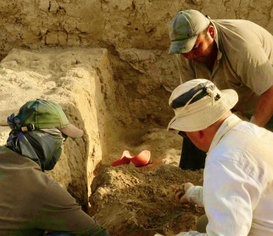 Carta delle potenzialità archeologiche: a Reggio Emilia approvata l’iniziativa di salvaguardia del patrimonio e storia