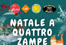 “Natale a Quattro Zampe”: iniziativa solidale per raccogliere fondi per la protezione fauna selvatica, recupero e adozioni degli animali abbandonati