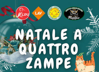 “Natale a Quattro Zampe”: iniziativa solidale per raccogliere fondi per la protezione fauna selvatica, recupero e adozioni degli animali abbandonati