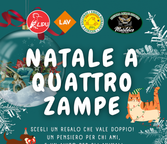 “Natale a Quattro Zampe”: iniziativa solidale per raccogliere fondi per la protezione fauna selvatica, recupero e adozioni degli animali abbandonati