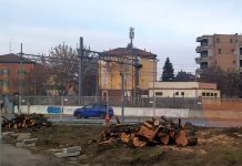 Reggio Emilia, ciliegi storici abbattuti in Circonvallazione (Ugo Pellini)