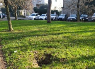 “Alberi mancanti in Circonvallazione”, la denuncia di Ugo Pellini