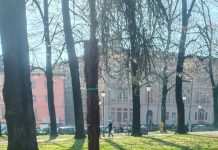 Messi a dimora 15 nuovi platani al Parco del Popolo