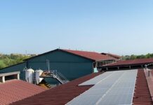 Coldiretti: “Bene l’energia rinnovabile, ma mai a scapito delle coltivazioni e del Parmigiano Reggiano”