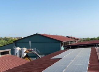 Coldiretti: “Bene l’energia rinnovabile, ma mai a scapito delle coltivazioni e del Parmigiano Reggiano”